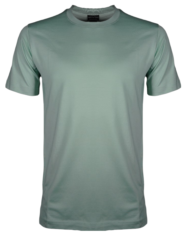 Subtle Green Plain Luxury Tshirt